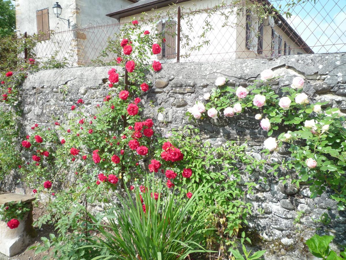 Bearn Bed & Breakfast Pau Exteriér fotografie